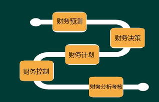 2017中级会计师《财务管理》冲刺班重点讲义 财务管理总论（二）