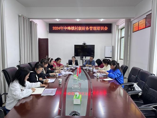 中峰镇召开2024年村级财务管理培训会